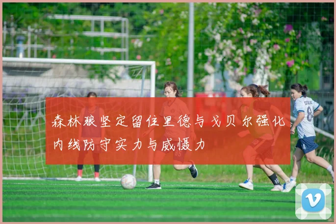 森林狼坚定留住里德与戈贝尔强化内线防守实力与威慑力